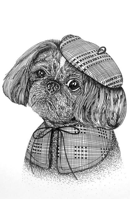 Detective Shih Tzu