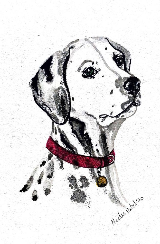 Dalmatian
