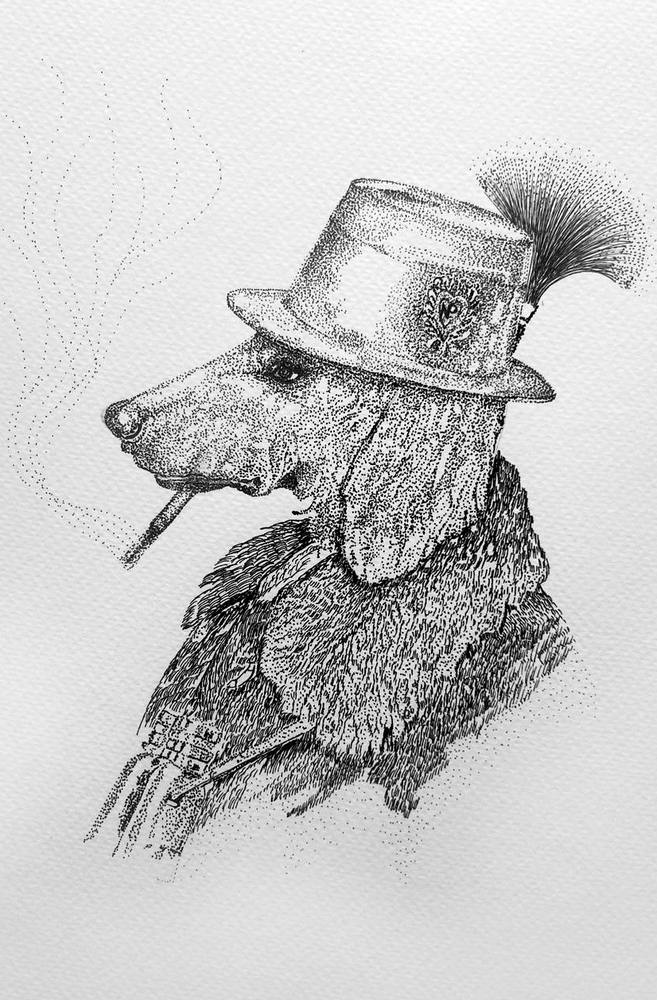 Gentleman Terrier