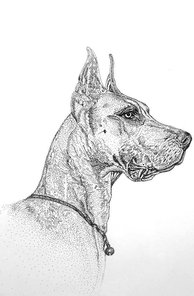 Great Dane Profile