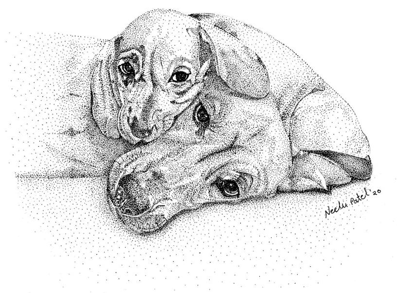 Resting Pair