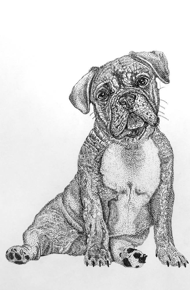 Sitting Pup